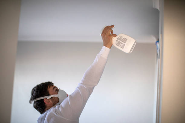 Professional Mold Removal in Elma, WA