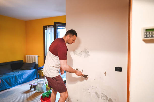 Best Toxic Mold Removal  in Elma, WA